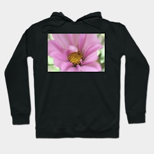 Cosmos Curl Hoodie